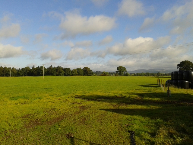 Morning sunshine. Lochbrow north field